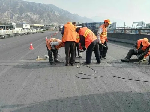 海棠道路桥梁病害治理